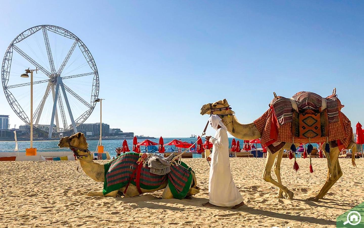 Bahar On Jbr By Happy Season دبي